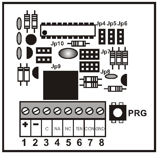 Temporizzatore programmabile con display 12 volt adatto per